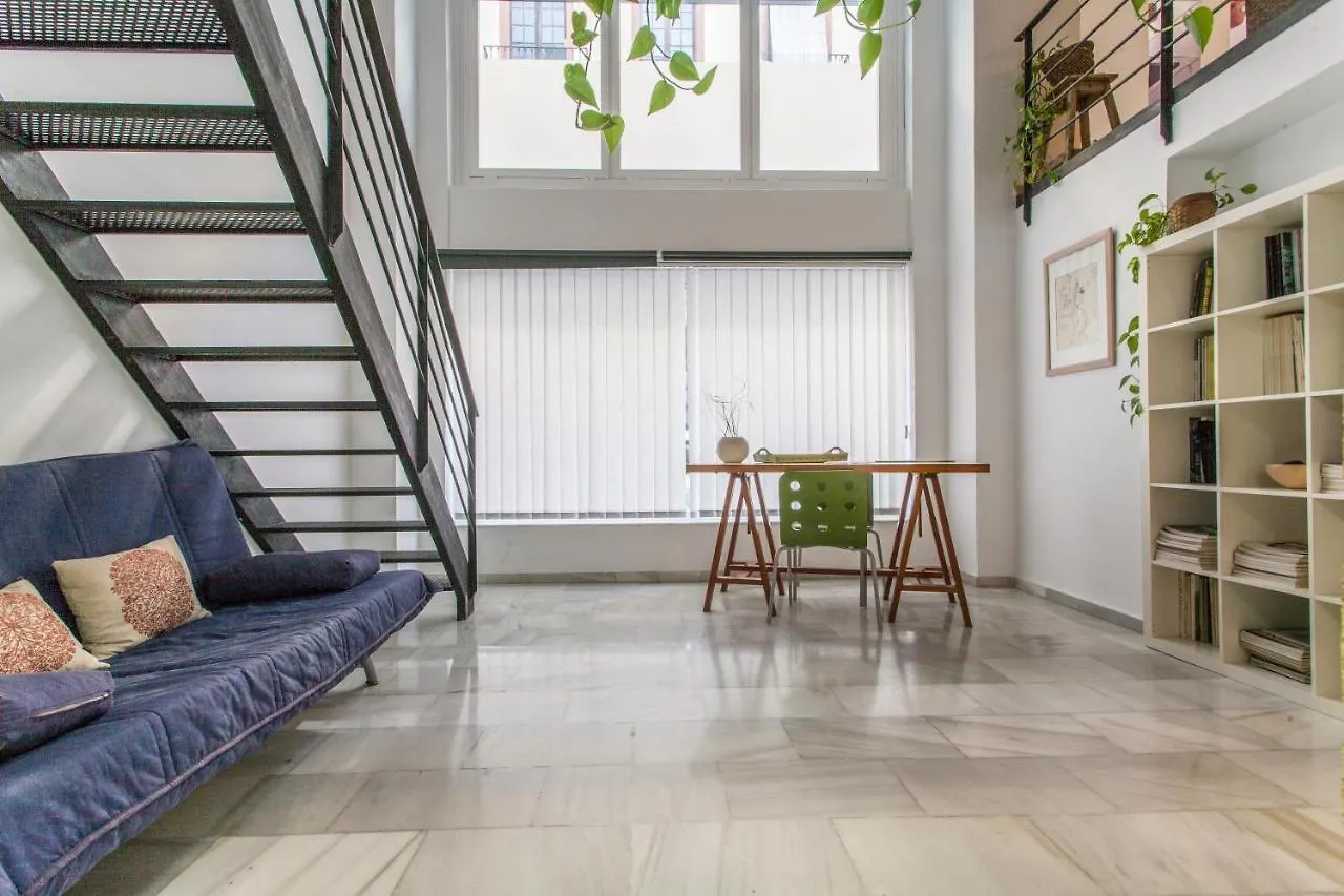 Lf Parking Incluido Amplio Loft En Barrio Santa Cruz Apartment Seville