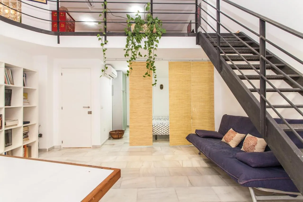 Lf Parking Incluido Amplio Loft En Barrio Santa Cruz Apartment Seville