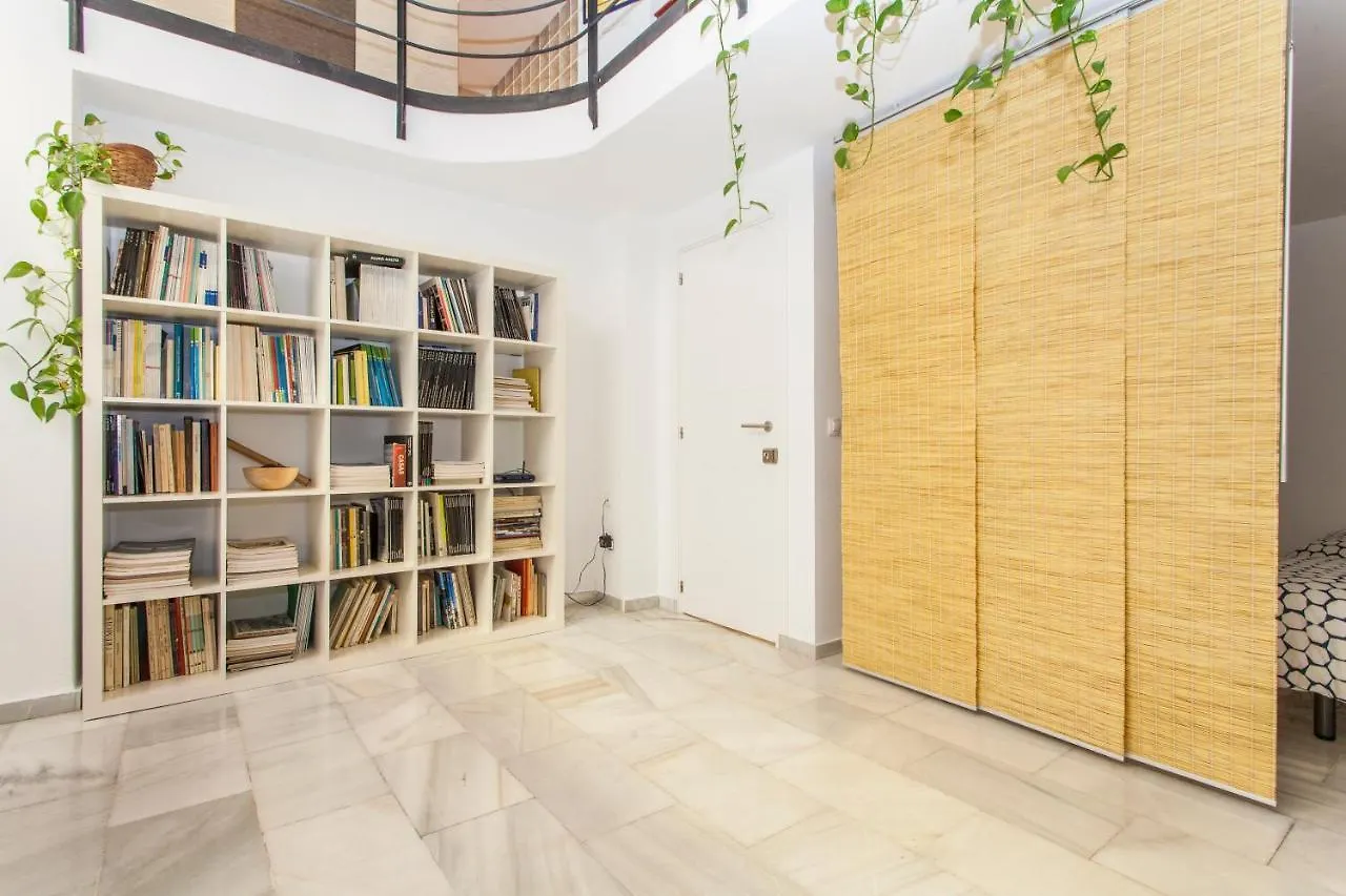 Lf Parking Incluido Amplio Loft En Barrio Santa Cruz Apartment Seville